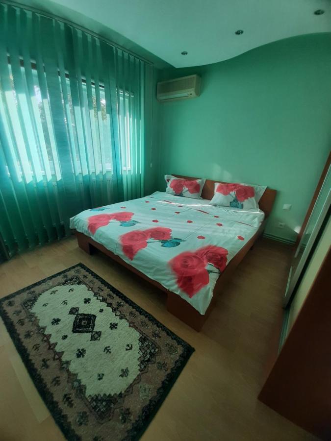 Craciunita Apartment